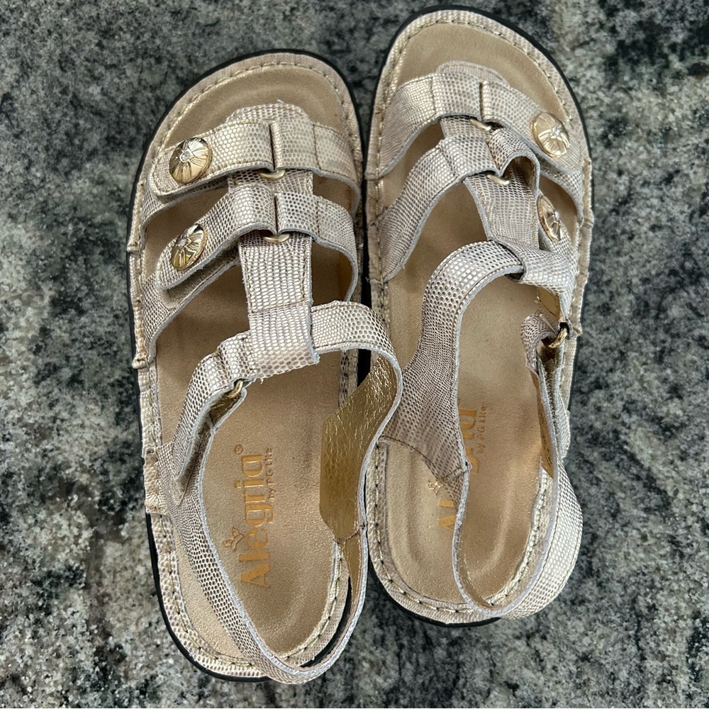 Alegria Klio Gold Sandals with Adjustable Straps and Cushioned Footbed - Picture 3 of 7